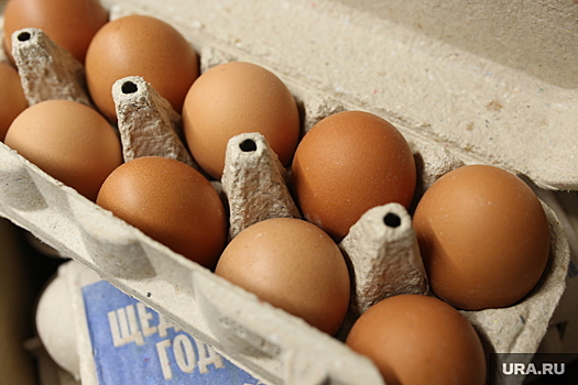 Производство куриных яиц в ЯНАО находится на последнем месте в стране
