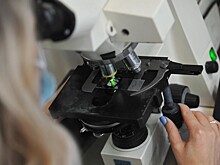 Ученые разработают стандарты дистанционной медицины