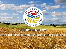 Юбилей &laquo;Сделано на Дону&raquo;: в ростовском парке Октябрьской Революции пройдет гастрофестиваль
