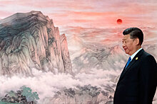 Си Цзиньпин предложил на саммите ШОС конкретные планы сотрудничества