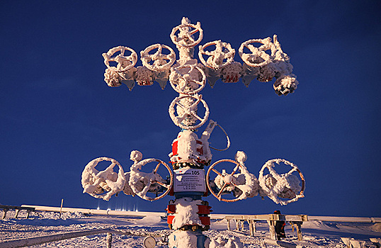 Бельгия предлагает ввести санкции против СПГ, трубопроводного газа и удобрений из РФ