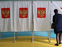 РФ исполняет рекомендации в борьбе с админресурсом на выборах