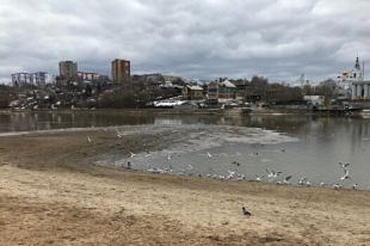 В Перми проверят качество очистки Мотовилихинского пруда
