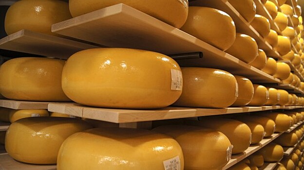 Сырный завод в Краснодарском крае станет самым крупным в Европе
