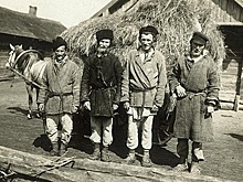 У мужчин каких профессий самый высокий уровень тестостерона