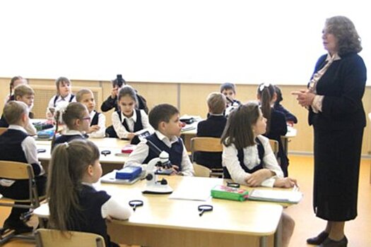 Российским учителям не хватает профессиональных знаний
