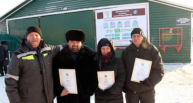 Разведением легендарных безрогих коров с «бобриным мехом» занимается томский фермер
