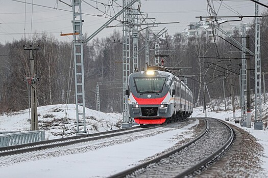 Индус попал под поезд в Москве во время игры в снежки