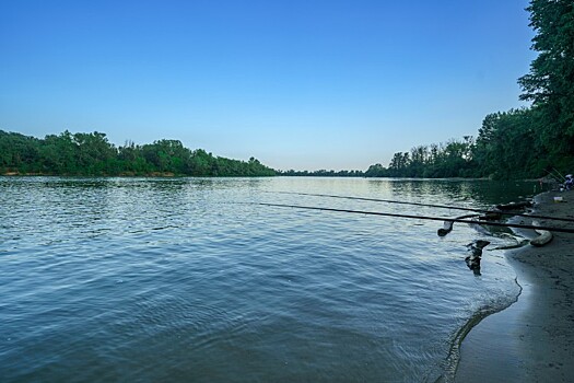 Вопрос о реконструкции дамбы в Крымском районе Кубани рассмотрят в Минскльхозе РФ