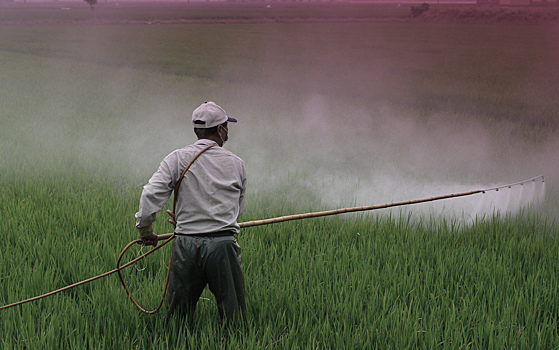 Гербицид и продукт его распада загрязняют природу Вьетнама более 50 лет