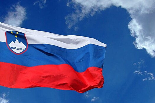 Словенские пограничники заподозрили туриста из России в провозе взрывчатки