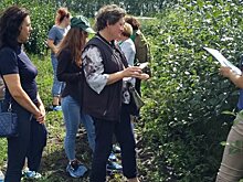 Апробация плодовых и ягодных культур - в зоне особого внимания Россельхозцентра