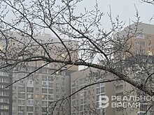 Завтра в Татарстане ожидается туман