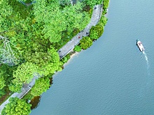 Китай своими действиями способствует глобальному "зеленому" развитию