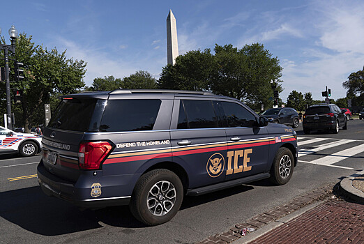 Сотрудник миграционной службы США подстрелил нелегала, пытавшегося ударить его лопатой