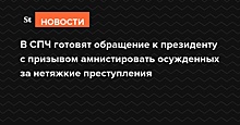 В СПЧ готовят обращение к президенту с призывом отпустить заключенных из-за коронавируса