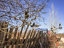 Юрист Иващенко ответила, за какой забор можно получить штраф