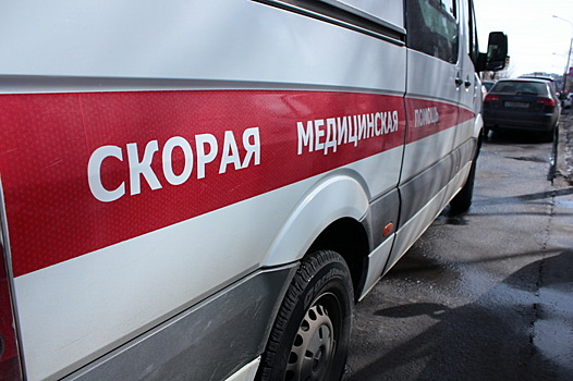 Остановка упала на автобус с пассажирами в Москве