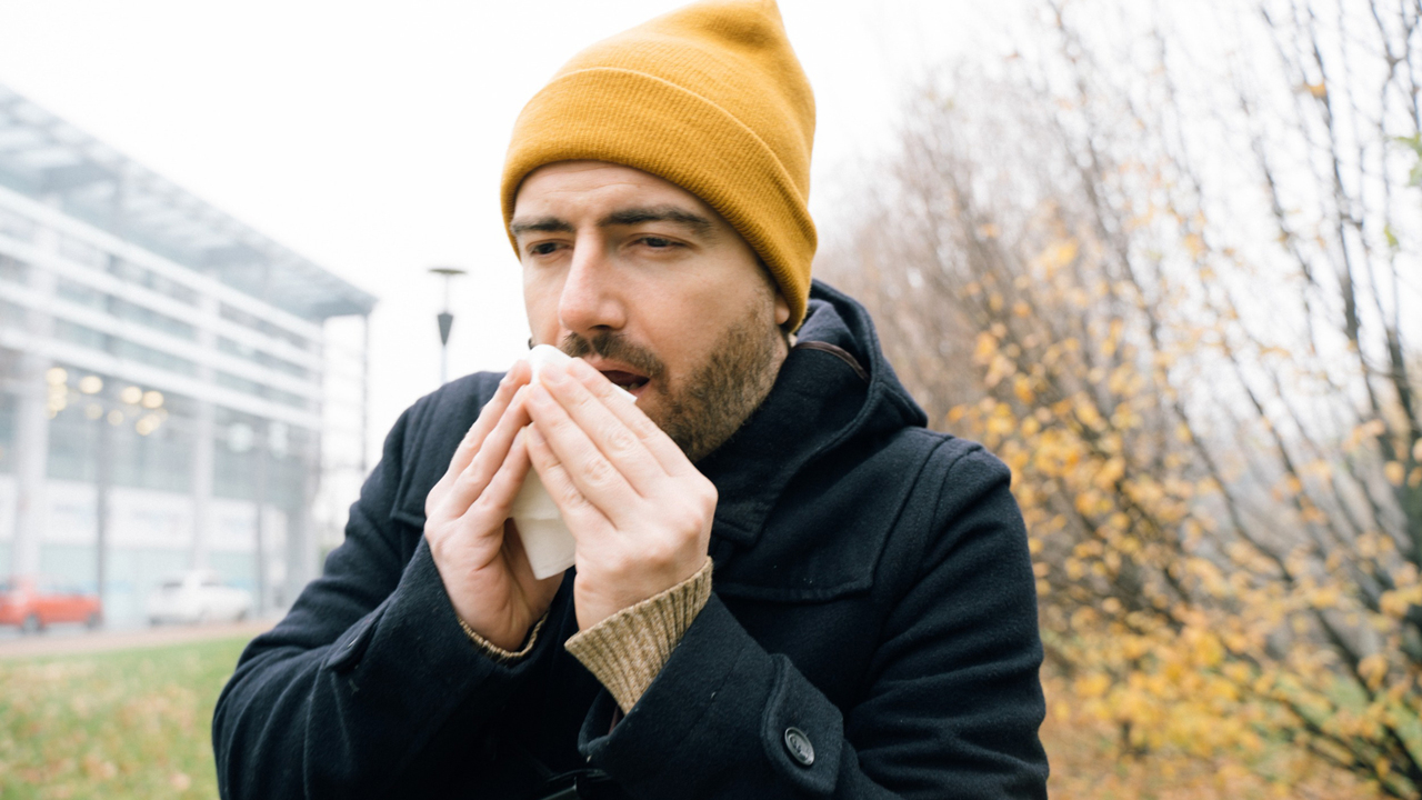 Развитие сердечно-сосудистых заболеваний