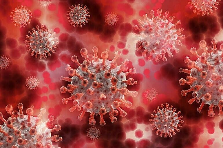 Вирусолог оценил опасность нового штамма коронавируса «омикрон»