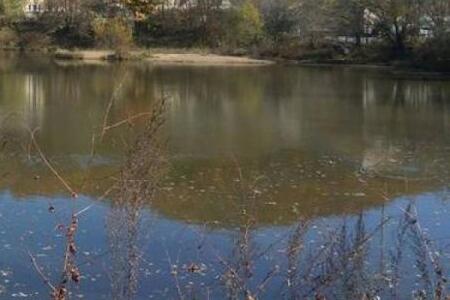 Во Владивостоке спикер ЗС ПК решает проблему несанкционированной свалки в районе остановки «Сахарный ключ»