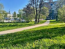 В Курске продолжается акарицидная обработка общественных мест