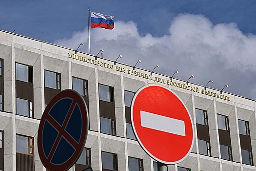 Правительство поддержало режим высылки для иностранцев без права нахождения в РФ