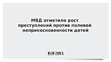 МВД отметило рост преступлений против половой неприкосновенности детей