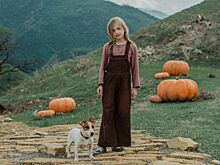 Определены самые кассовые фильмы российского кинопроката в 2025 году