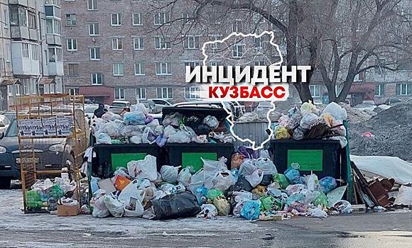 «Маленькая Франция»: кемеровчанка пожаловалась на переполненные мусорные контейнеры