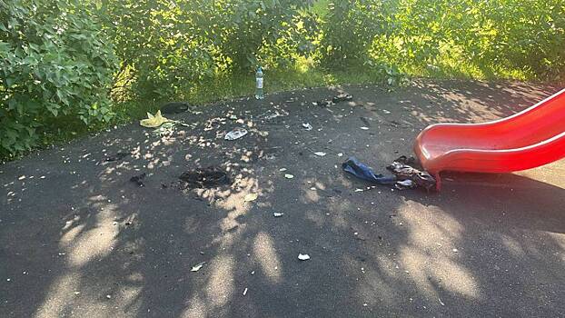 Полиция в Подмосковье проводит проверку после возгорания автомобиля с запертой в нем 14-летней девочкой