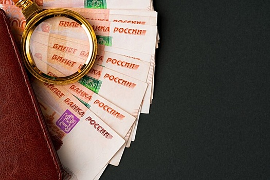 Владимирская область вошла в число лидеров по росту зарплат