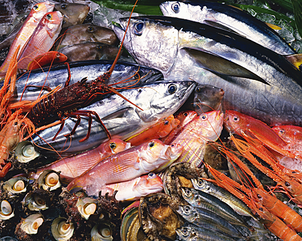 Эксперт прокомментировал предложения Росатома по развитию рыбной отрасли
