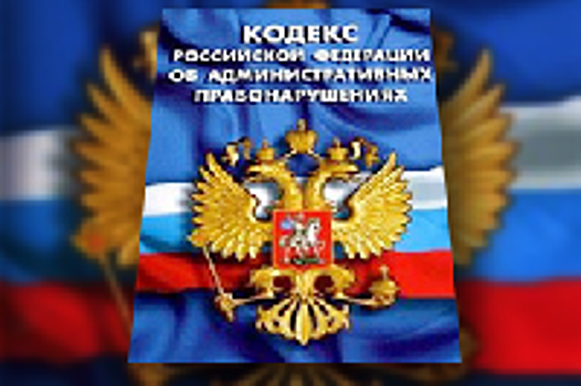 Вступили в силу поправки в законодательство, усиливающие ответственность за непредоставление преимущества пешеходам