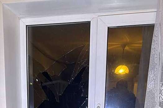 В Иркутской области пьяный юноша угрожал пенсионерке топором