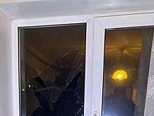 В Иркутской области пьяный юноша угрожал пенсионерке топором