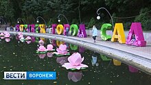 В 2018 году разработка концепции воронежского фестиваля «Город-сад» подешевеет на треть