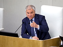 Володин призвал принять меры против фальшивых экзаменов для мигрантов