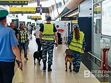 Стал известен режим работы таможенных постов в Татарстане на 4—6 ноября