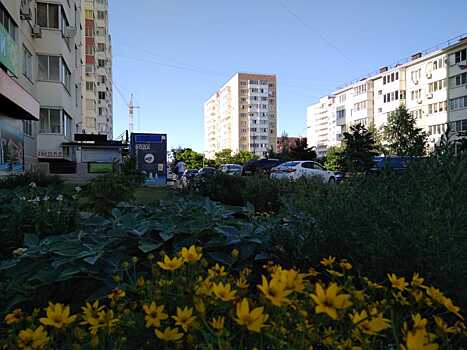 В середине недели в Краснодаре и крае сохранятся резкие колебания ночных и дневных температур