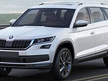 Первый юбилей: на что жалуются владельцы после 5 лет эксплуатации Skoda Kodiaq