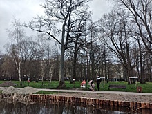 В городском парке Зеленоградска укрепят берега озера и заменят асфальт на тротуарную плитку
