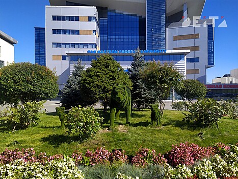 Минобрнауки запретит вузам платное обучение по некоторым направлениям