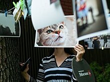 Tele2 поддержит творческих молодых людей на фестивале "Sолома"