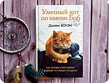 Для школьных библиотек закупят книгу Боуэна «Уличный кот по кличке Боб»