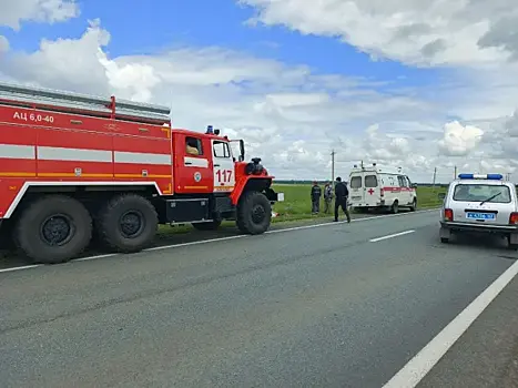 В Самарской области 19 июня "Нива" улетела в кювет