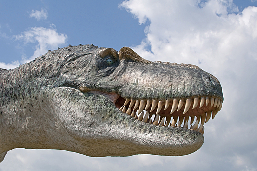 Найдены живые хищники, которые древнее динозавров