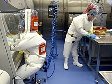 В Ухане опровергли утверждение о лабораторном происхождении коронавируса