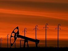 Эксперт: США могут обрушить цены на нефть до $20