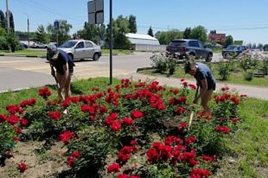 С начала года на Кубани временно трудоустроили 11 тысяч подростков